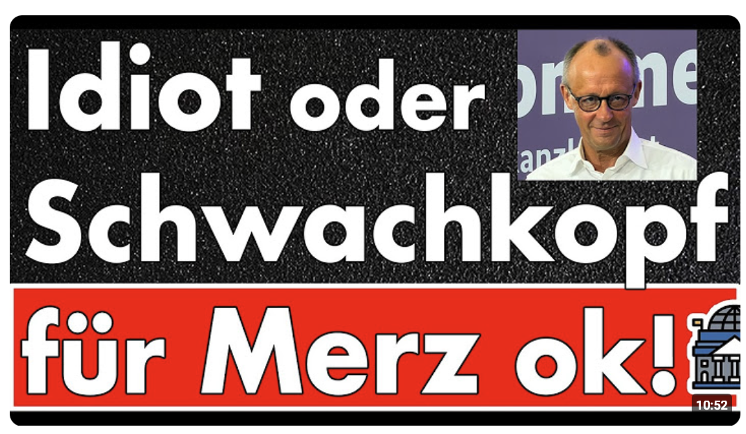 Merz erlaubt Beleidigungen: ‚Nennt mich ruhig Idiot!‘ – Dann doch wieder §188 und Amtsschutz