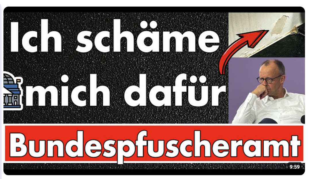 Das Bundespfuscheramt: Widerliche Toiletten, kaputter Teppich & Dachschaden im Kanzleramt