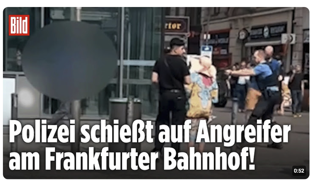 FRANKFURTER BAHNHOF: Drogenkontrolle eskaliert! Polizei schießt auf Angreifer