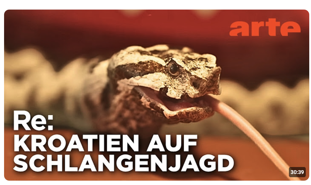 Giftschlangen an der Adria | ARTE Re: Reupload