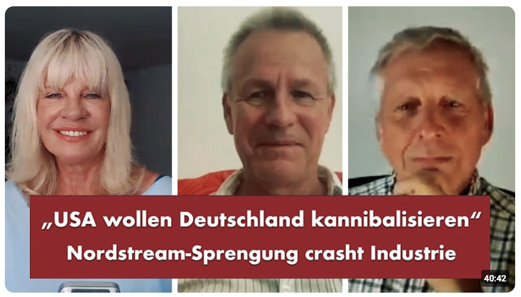 „USA wollen Deutschland kannibalisieren“ – Punkt.PRERADOVIC mit Moritz Enders u . Erik Andersson