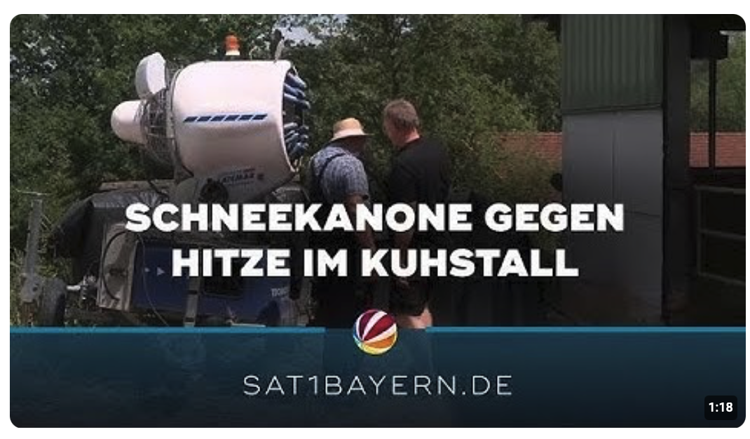 Abkühlung für Kühe in Tremsdorf: Schneekanone sorgt für frische Luft