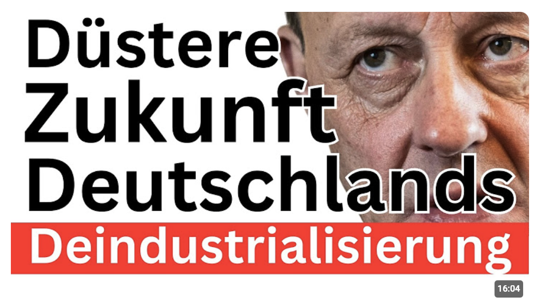 Deutschlands Wirtschaft kollabiert ! BDI-Chef !