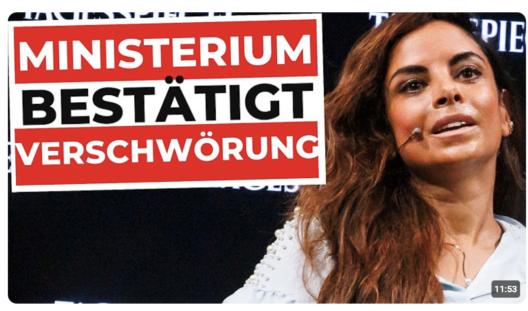 Paranoia pur: Fernandes-Akte JETZT Geheimsache | Collien Fernandes