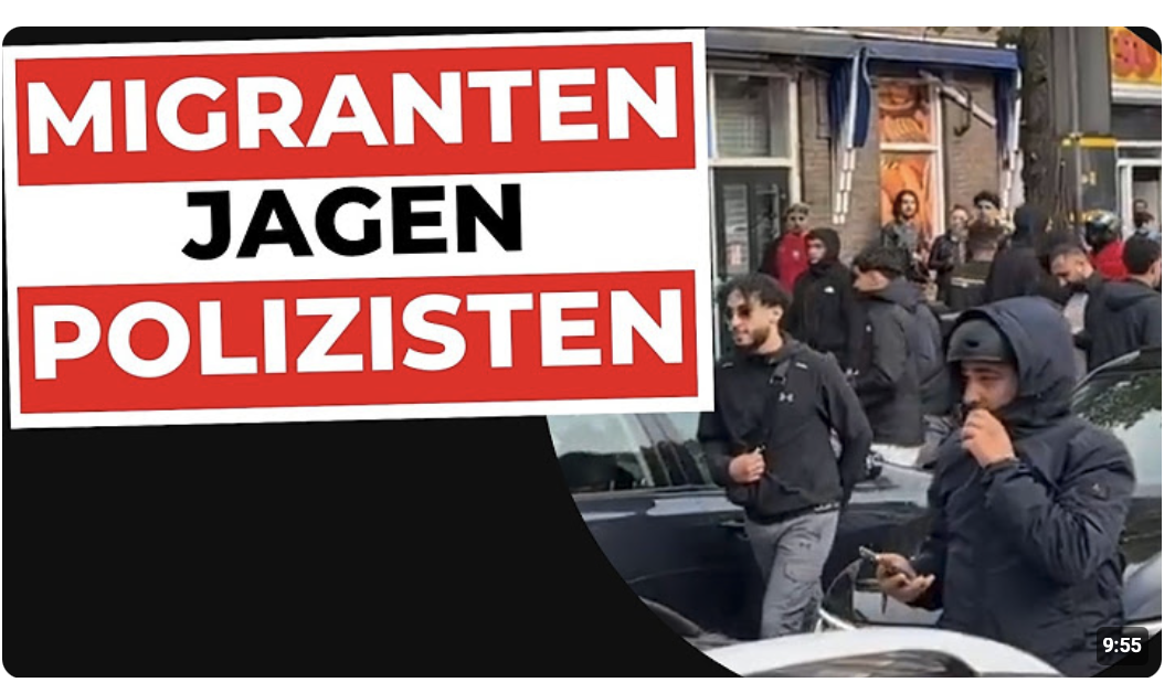 Multikulti-Traum eskaliert völlig | Gesellschafts-Kollaps