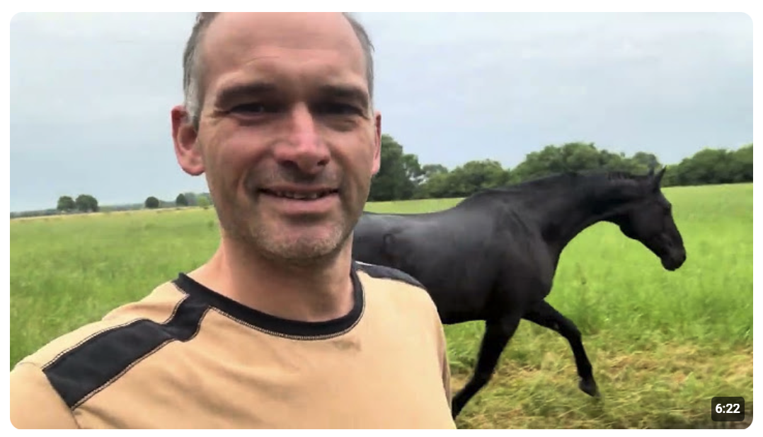 Niedersachsen hat VW von innen hingerichtet m,während Regenbogenfahnen das Land unterwandern!