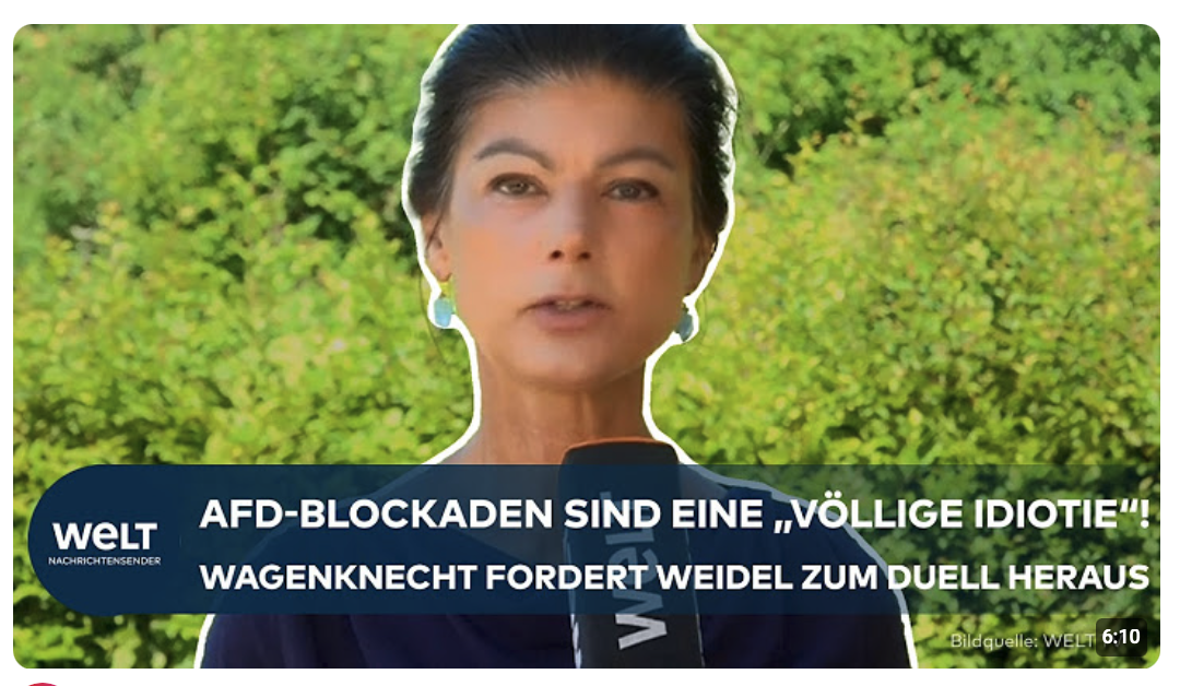 BLOCKADEN GEGEN AFD-PARTEITAG: „Eine völlige Idiotie“ | Sara Wagenknecht fordert Duell mit Weidel