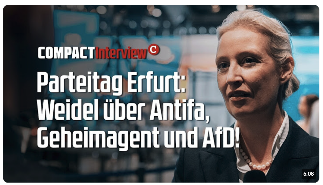 Parteitag Erfurt: Weidel über Antifa, Geheimagent und AfD!