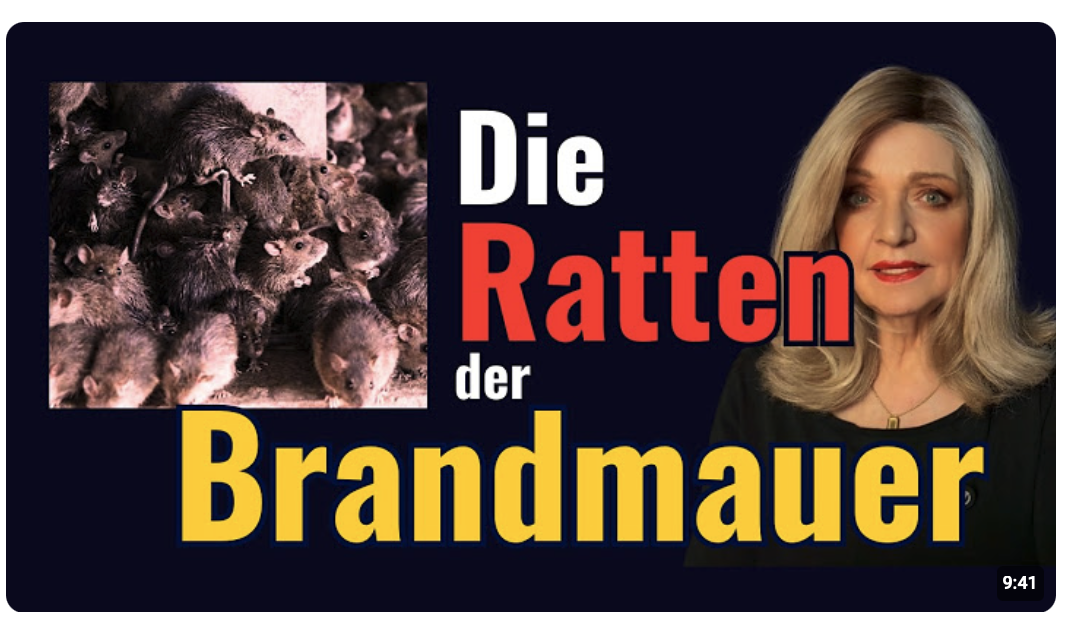 Die Ratten der Brandmauer drohen weiter | Ramelow feiert | Pistorius schürt weiter AfD-Ängste.