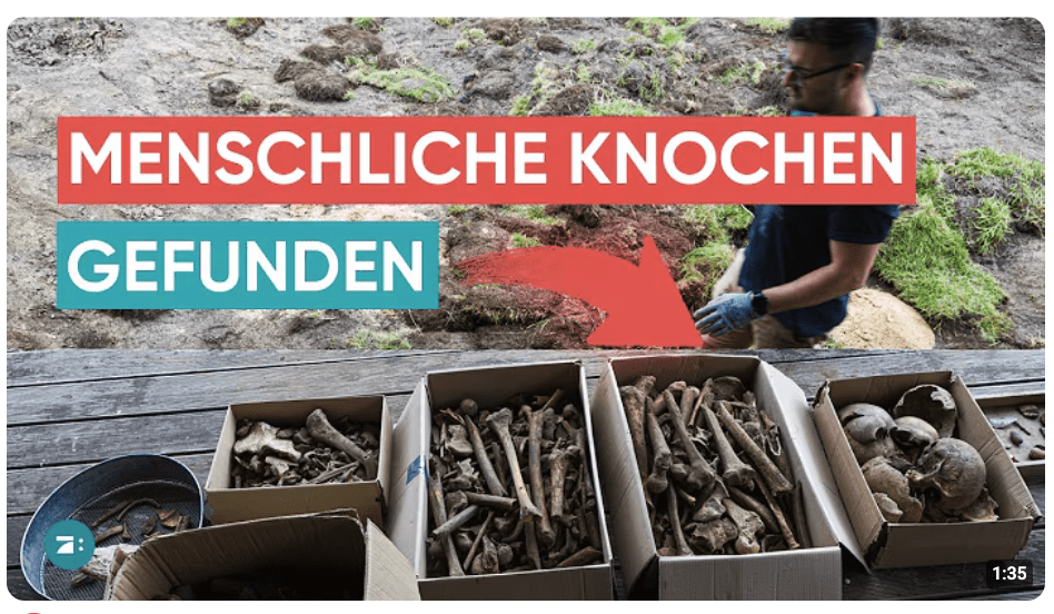 Braunschweig: Familie findet menschliche Knochen im Garten