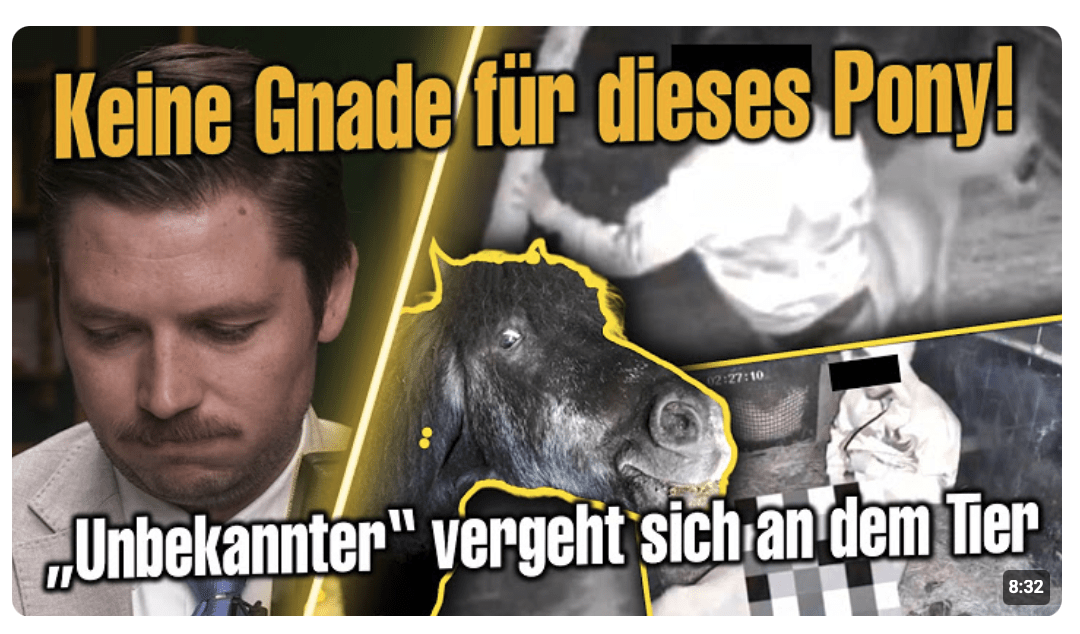 Auf Gnadenhof wurde ein Pony m*ssbraucht – Bilder aus Video öffentlich
