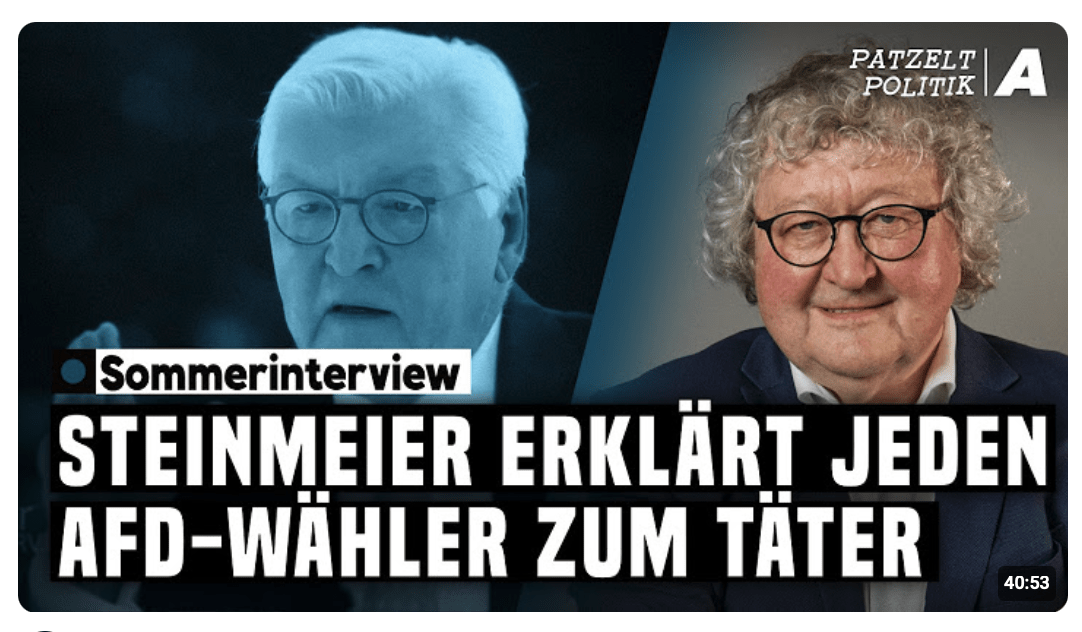 Steinmeier beleidigt jeden AfD-Wähler – Patzelt Politik
