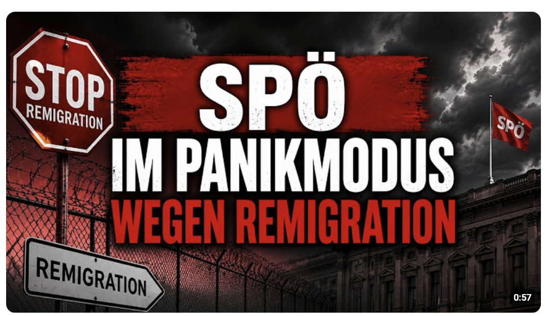 SPÖ im Panikmodus wegen Remigration