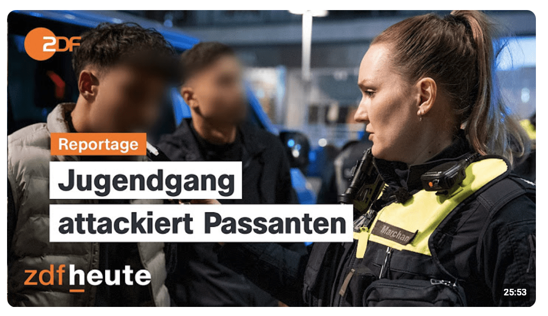 Polizei Hannover stellt gewalttätige Jugendgruppe: Polizei im Einsatz I Streife 24/7 (2/4)