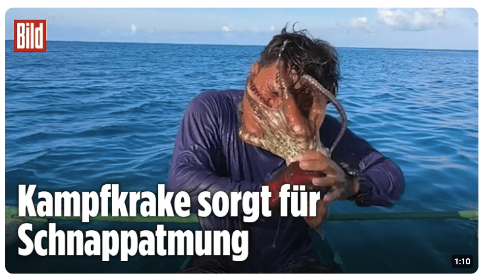 Attacke mit acht Armen: Oktopus rächt sich an Fischer