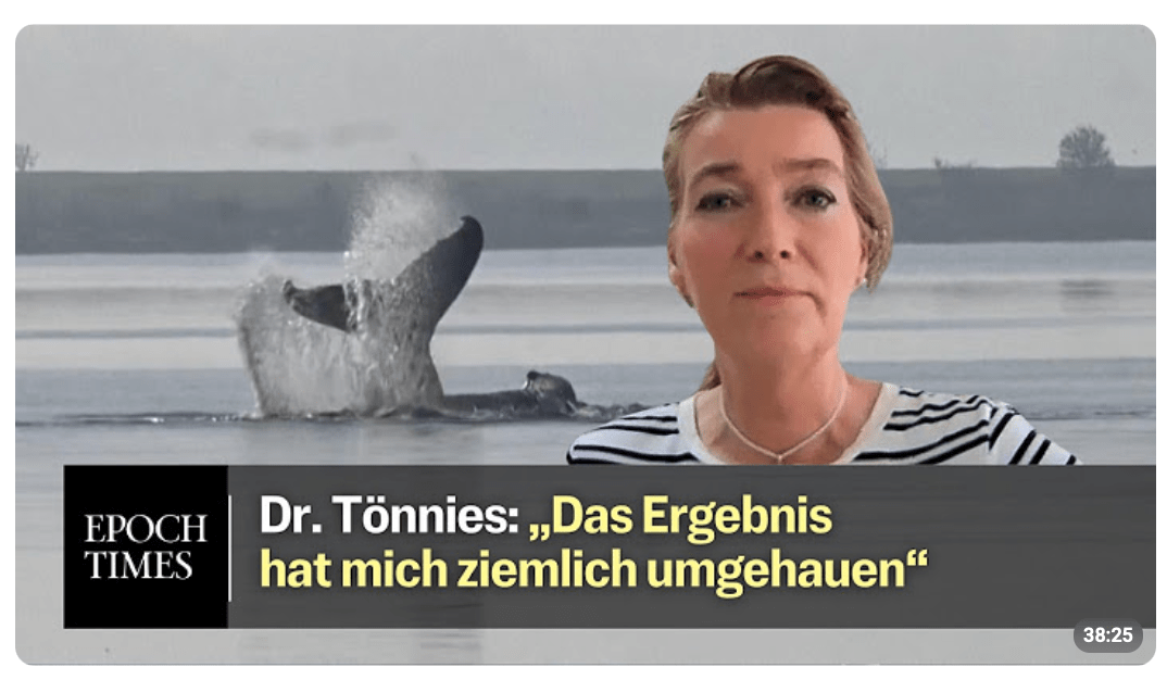 Dr. Tönnies zum Tod von Wal Timmy: Vor den DNA-Untersuchungsergebnissen „war ich absolut sicher“