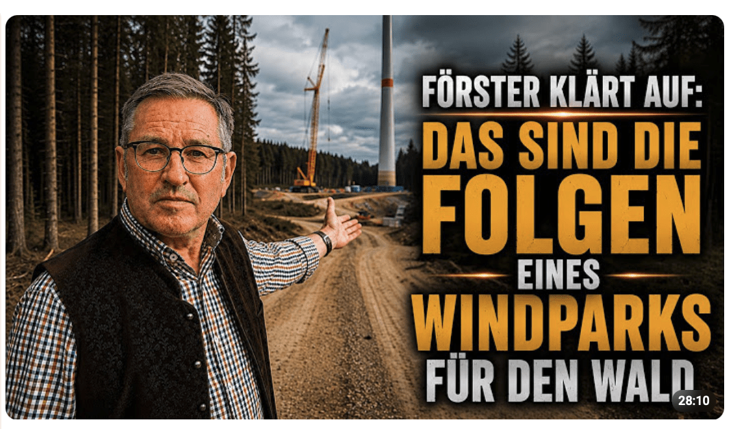 Förster erklärt, was ein Windpark für einen Wald wirklich bedeutet