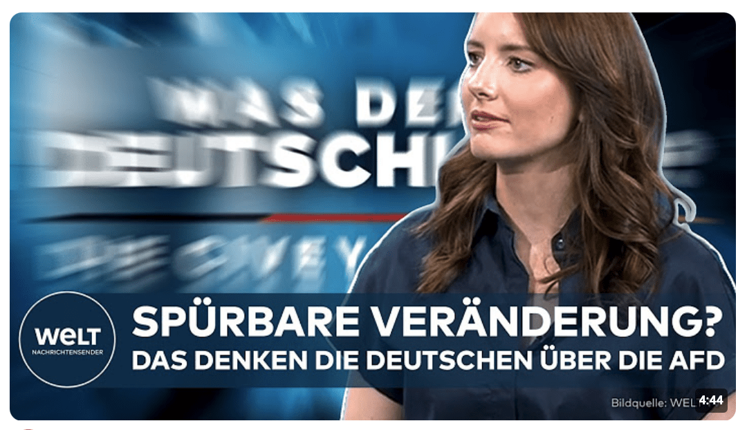 CIVEY-UMFRAGE: „Wird eine starke AfD spürbare Veränderungen hervorrufen?“ – Das sagen die Deutschen