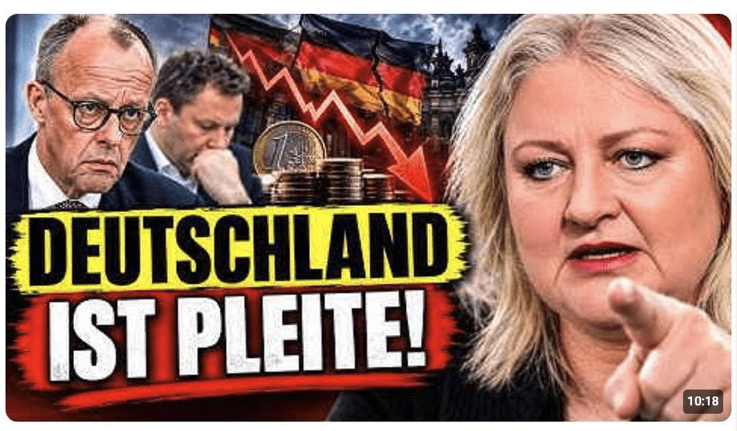 „UNSER ABSTURZ WIRD BEWUSST HERBEIGEFÜHRT!“  Antje Hermenau zeigt unfassbaren Plan bis 2029!