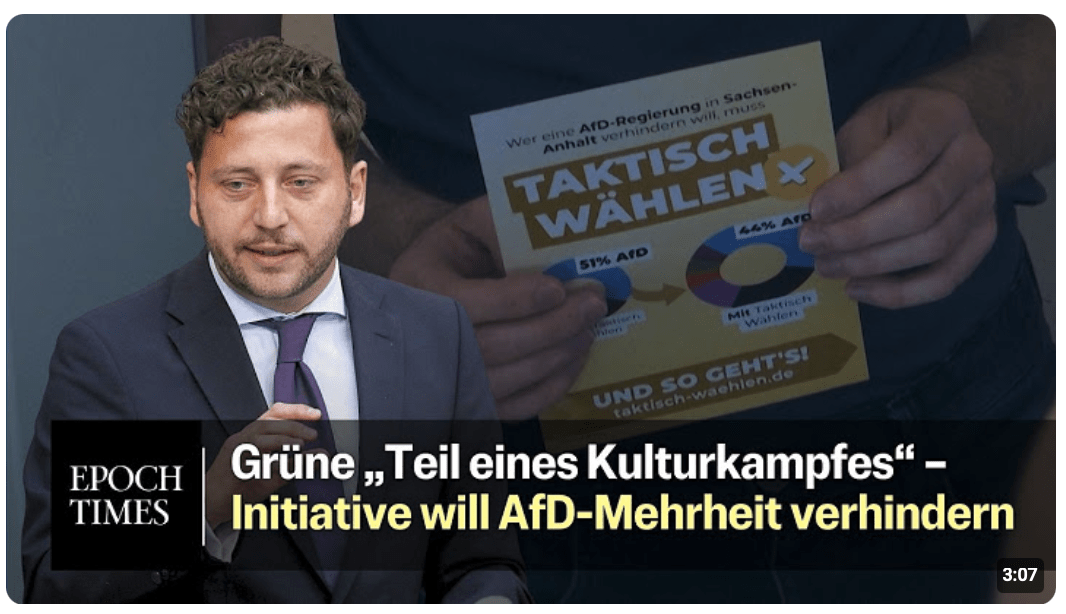 Grünen-Chef sieht Mitschuld an AfD-Aufstieg – Intiative will Abstieg in Sachsen-Anhalt verhindern