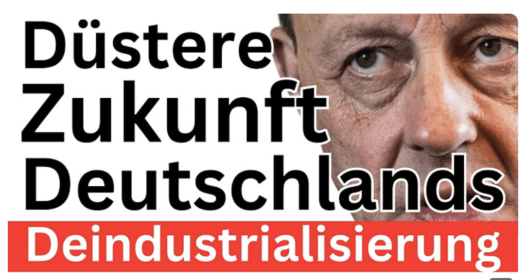 Merz Merkel Zerstörer Deutschlands 
