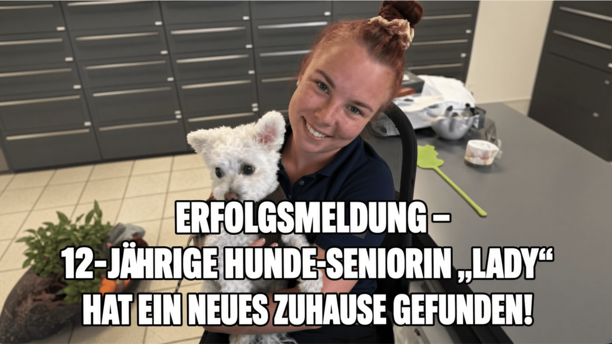 ERFOLGSMELDUNG – 12-JÄHRIGE HUNDE-SENIORIN „LADY“ HAT EIN NEUES ZUHAUSE GEFUNDEN!