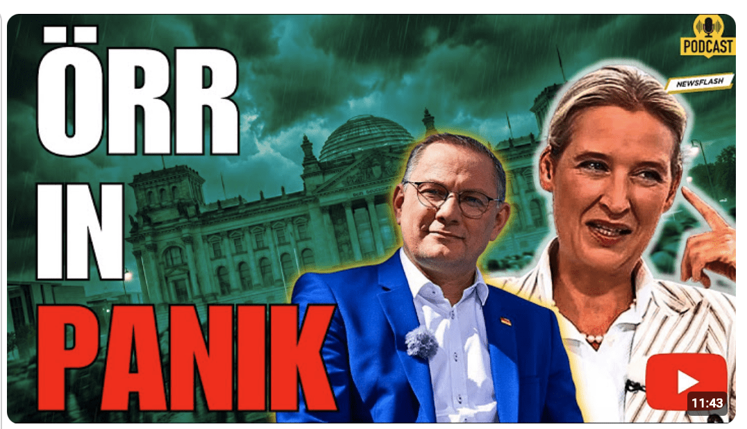 ÖRR blamiert sich in Sommerinterviews Schnappatmung wegen EURO Austritt   AFD Werbung vs SPD