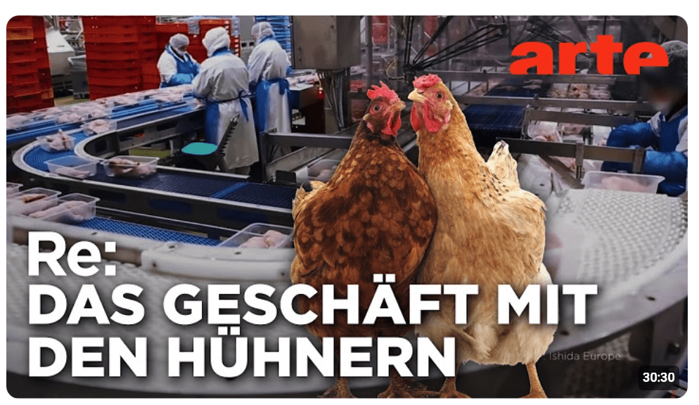 Ein Dorf und 1 Million Hühner | ARTE Re: