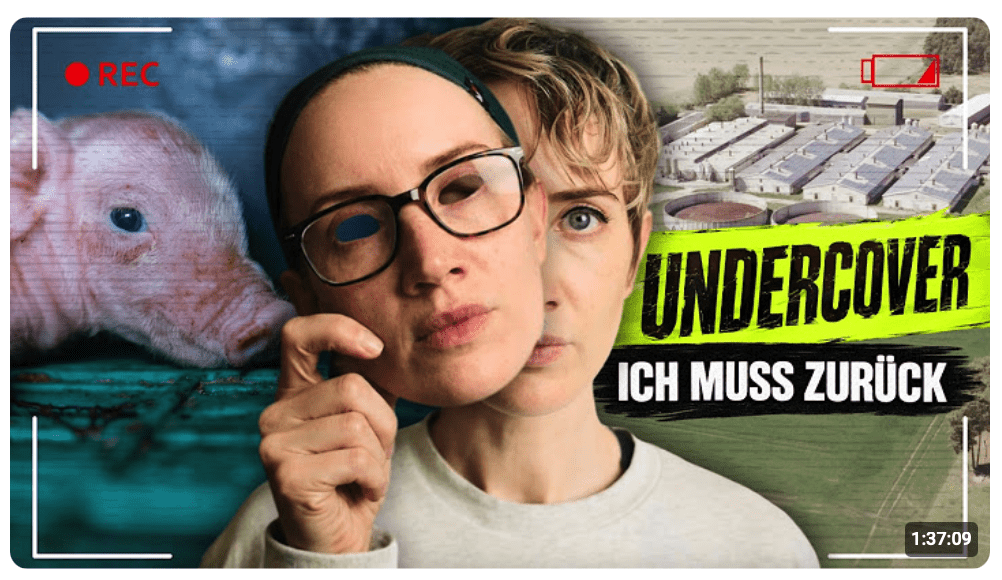 UNTER SCHWEINEN: Der UNDERCOVER-EINSATZ, den ich NIE WIEDER wollte