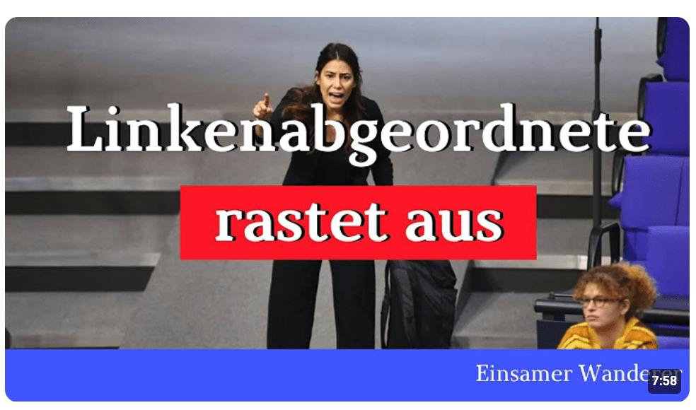 Eklat im Bundestag – Köktürk kassiert 2 Ordnungsrufe – „sie schützen Faschisten“