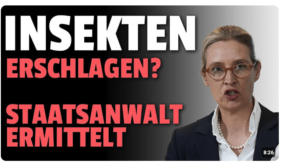Hornisse getötet – 50.000 Euro STRAFE! Aber Straftäter bleiben FREI!