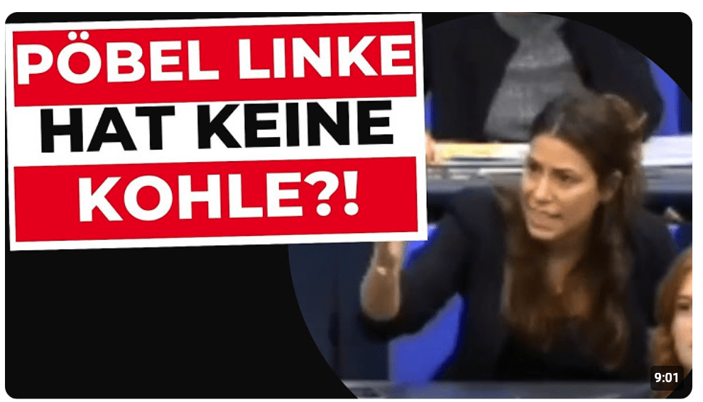 ASSI? 2000€ Strafe als Spenden-Maschine genutzt? | Bundestags-Eklat, Cansin Köktürk & René Springer