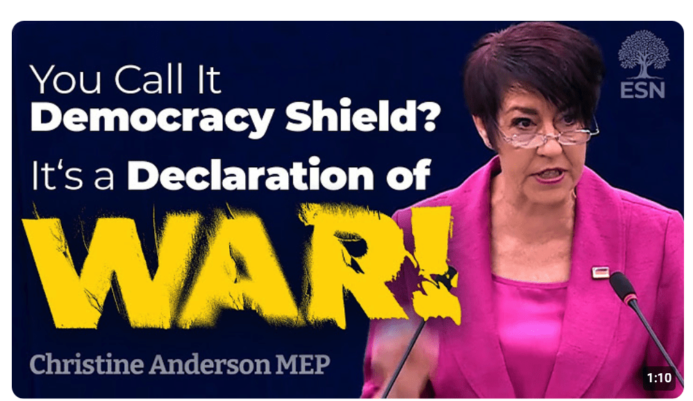 You Call it a Democracy Shield? It is a Declaration of WAR! | German Subtitles