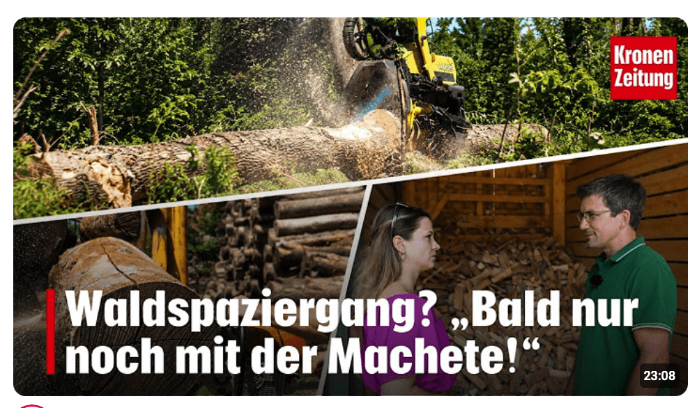 Waldspaziergang? „Bald nur noch mit der Machete!“ I krone.tv REPORTAGE