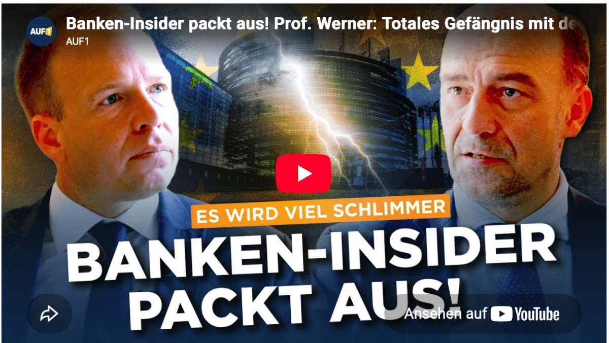 Banken-Insider packt aus! Prof. Werner: Totales Gefängnis mit dem Digitalen Euro!
