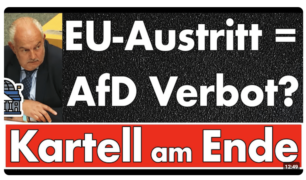 Quatschjura vom Kartell: Warum Kyrill-Alexander Schwarz den EU-Austritt zum AfD-Verbotsgrund erklärt