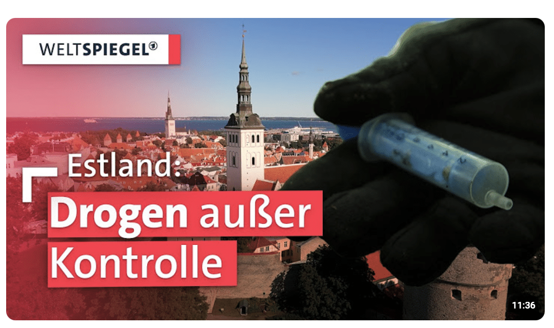 Ein High-Tech-Land kämpft gegen eine neue Drogenwelle | Weltspiegel