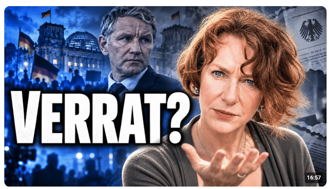 Wird die AfD zur Systempartei? Guérot über Höckes Versprechen