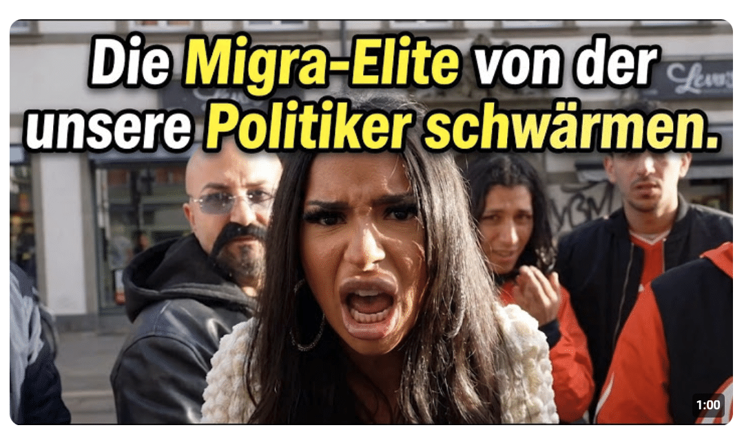 Die intellektuelle Migra-Elite von der unsere Politiker schwärmen