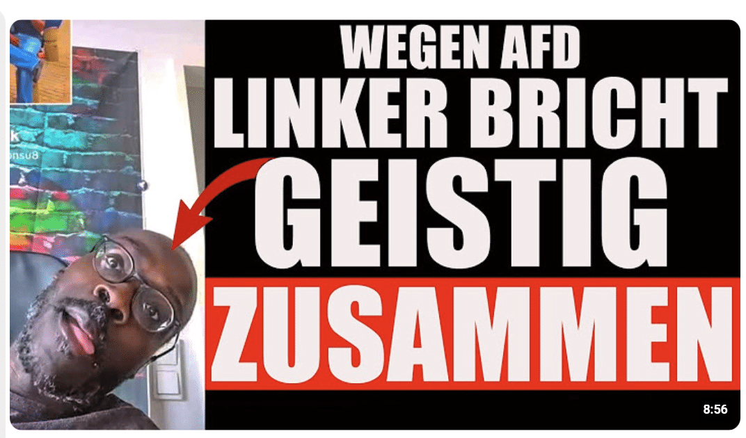 Mentale ZUSAMMENBRÜCHE wegen AFD Präsidenten HIRN ist komplett WEG