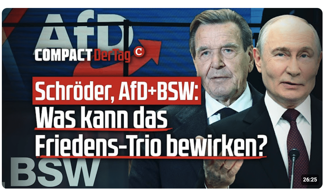 Schröder, AfD + BSW: Was kann das Friedens-Trio bewirken?