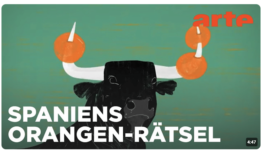 Spanien: Die Orangen, die keiner pflückt | Karambolage España | ARTE