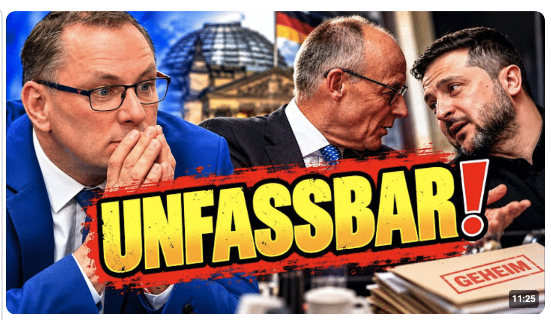DAS WURDE VERSCHWIEGEN!?: WARUM MERZ WIRKLICH IM AUSLAND WAR!? 