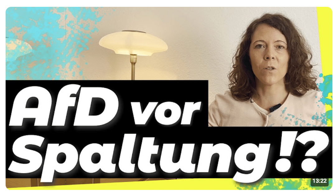 AFD oder UNTERGANG – REISST Euch ZUSAMMEN !?
