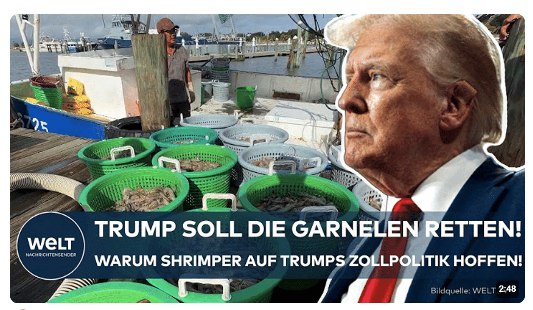 USA: Trumps Zollpolitik soll die Garnelen retten! Fischer kämpfen gegen Importe und steigende Kosten
