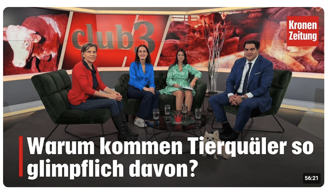 Tierschutz am Limit: Warum kommen Tierquäler so glimpflich davon? | krone.tv CLUB 3