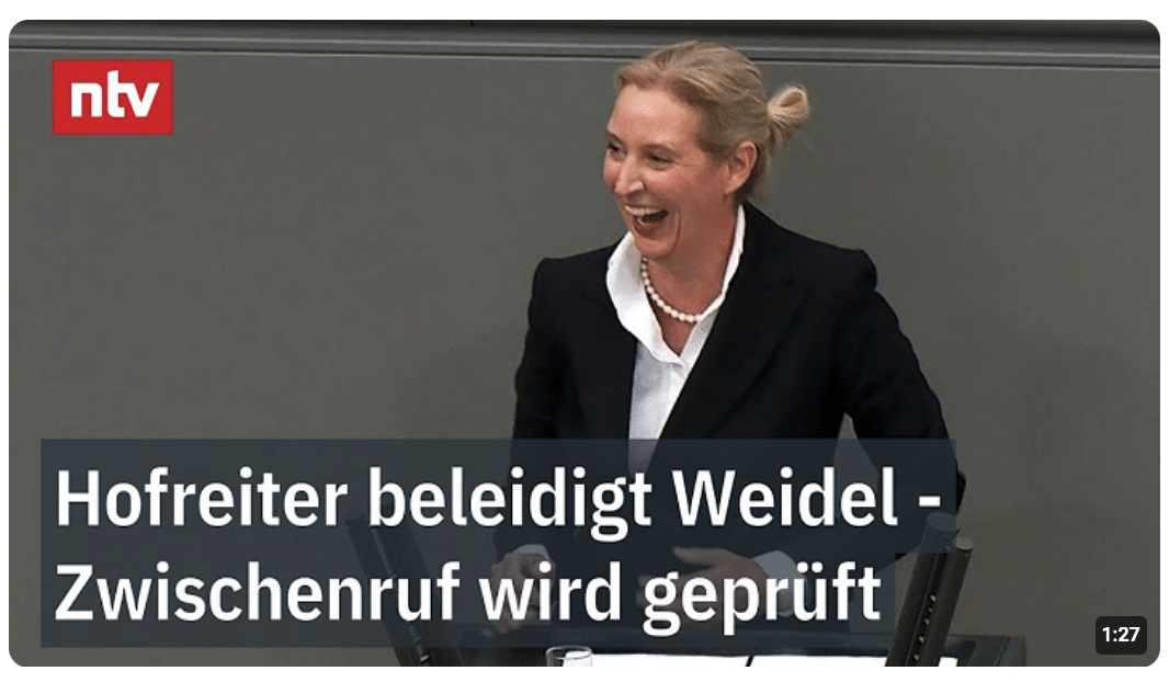 Da kann die AfD-Chefin lachen: Der Grüne Hofreiter bezeichnet Weidel als russische Agentin | ntv