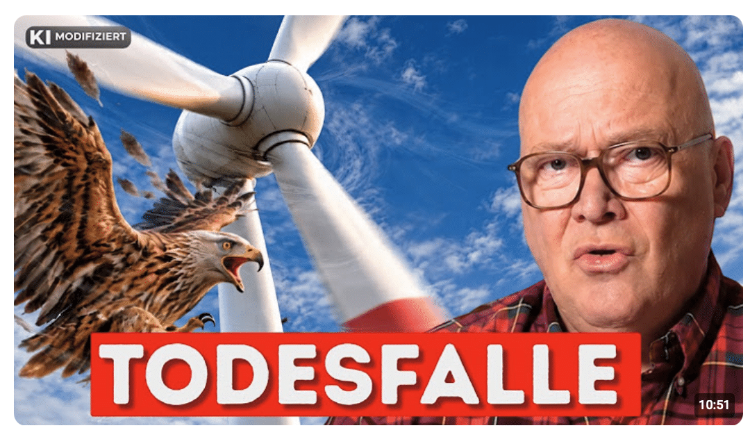 Windräder töten Vögel – warum schweigen die Grünen? | Winter-Files
