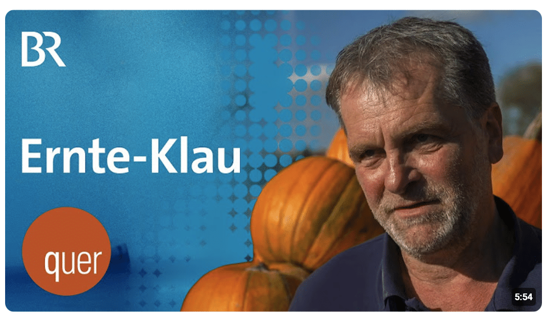Erst Dürre, dann Diebe – Ernte-Klau auf Bayerns Äckern | quer vom BR