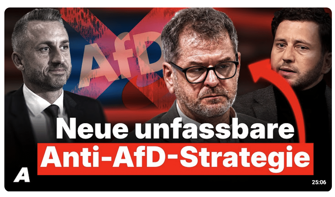 Grüne planen den AfD-Schlag: Plötzlich steht das Parteiverbot im Raum
